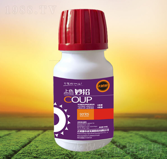 ��ɫ����-������