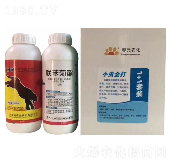 1+1�ײ�-�����r(n��ng)��