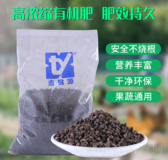 �ߝ�s�ЙC��-����