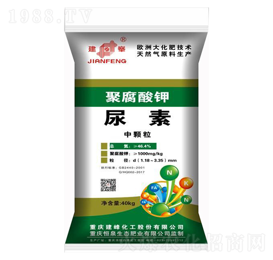 �۸��������-¡���r�Y