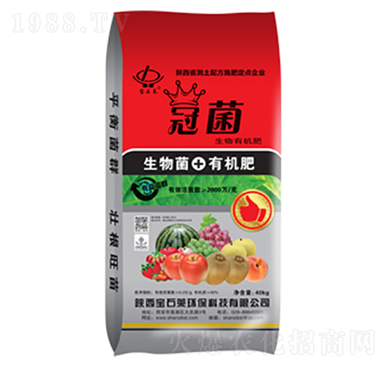 �ھ������ЙC��-��ʯ�R