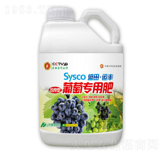 ʢ���\�S���ь��÷�-ʢ������