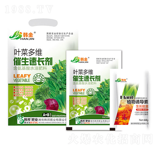 �~�˶�S�������L��-�n��-�n��ʘI(y��)