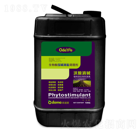 �����ቺ�A���}�{�턩-�������A-�W����