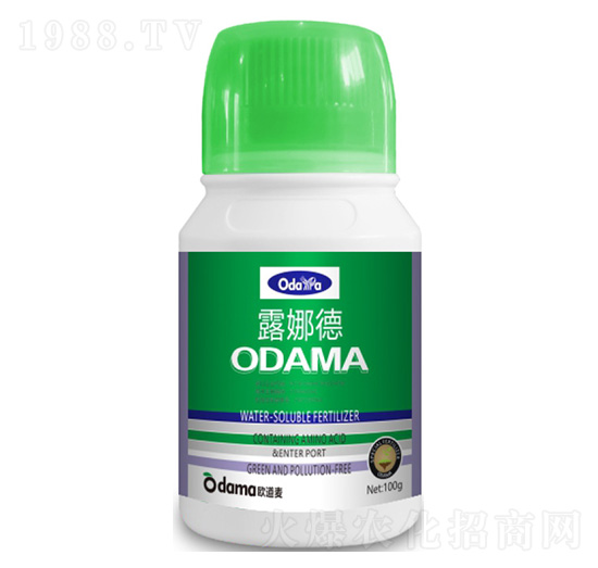 ¶�ȵ�-�W����