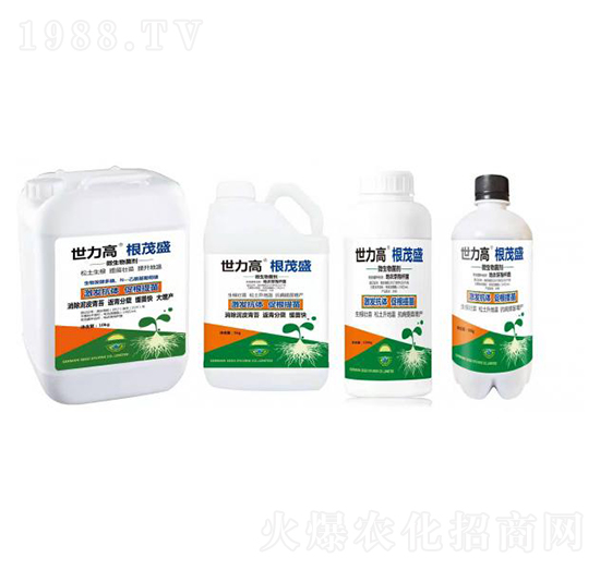 ΢�������-��ïʢ-����������