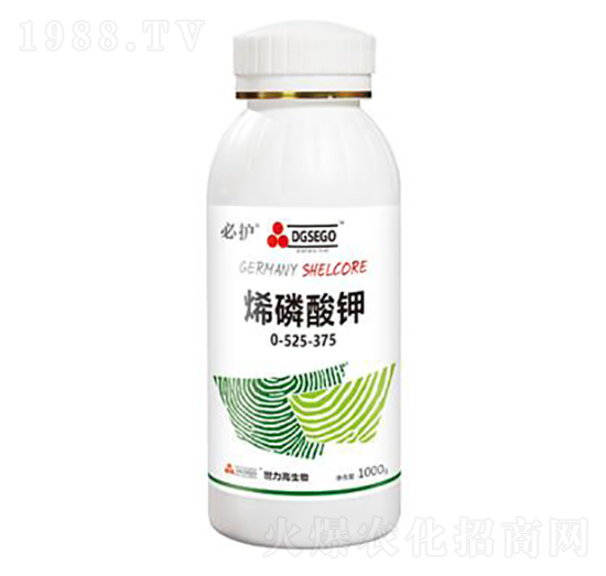 ϩ�����-���o-����������