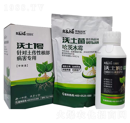 �����Ը���������������1̖-�к�����