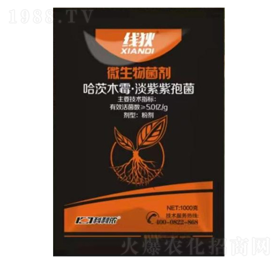 ΢�������-����-�����r(n��ng)