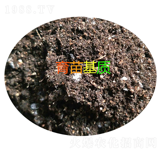 ������|-���d����