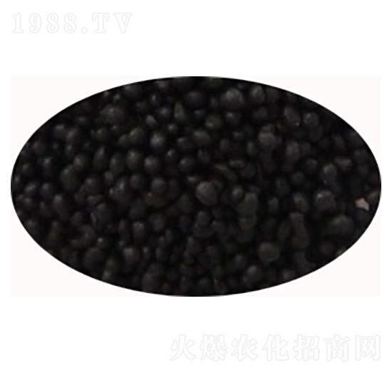 �ͺ��������-���S