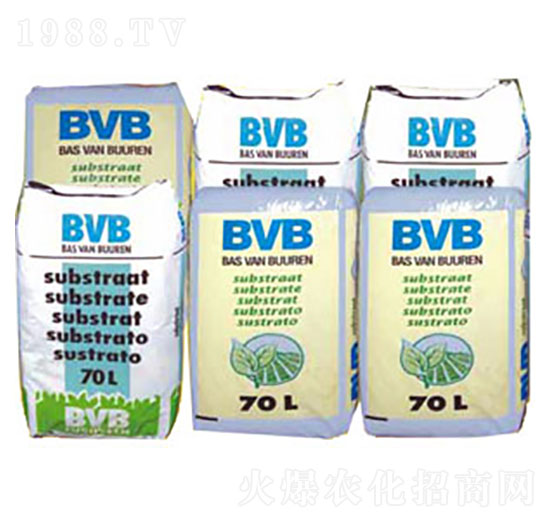 ���N��(zhu��n)�û��|(zh��)-BVB-�������r(n��ng)�Q(m��o)