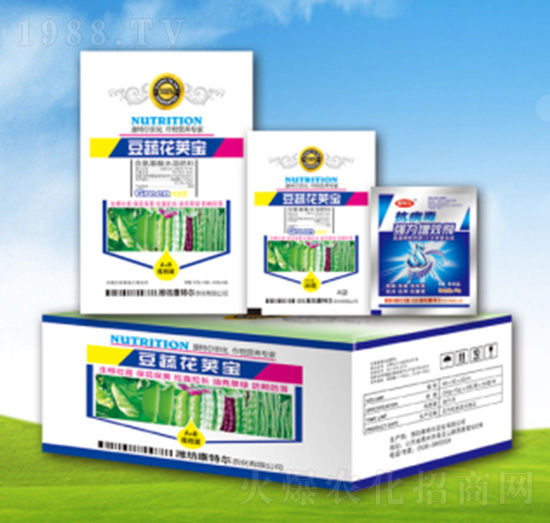 ���߻��v��-���ؠ��r��