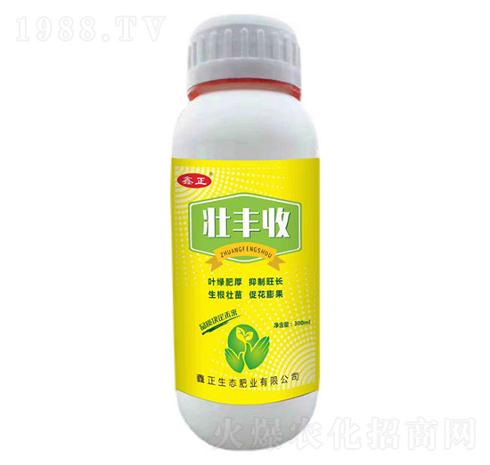 ���S��-ҫѸ�w�r(n��ng)�I(y��)