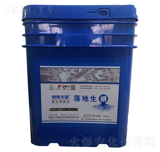 �������΢�������-�����S��-����������