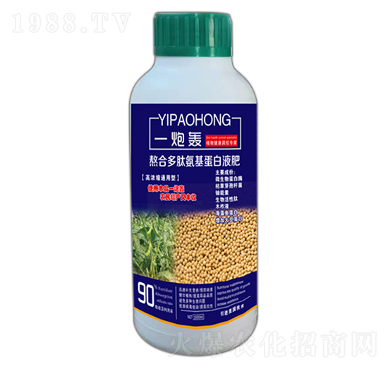 һ���Z-��ʢ�_