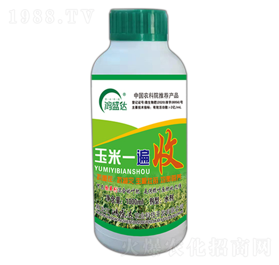 ����һ����-��ʢ�_(d��)