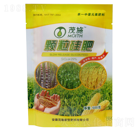 �w�����-ïʩ����