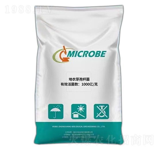 ����ѿ�ߗU��-��������