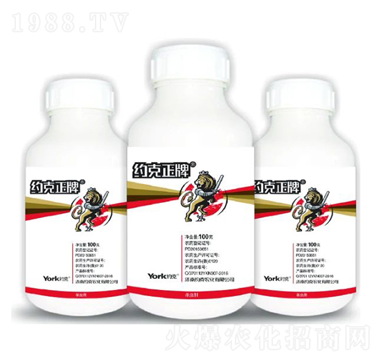 8%���x��Ҹ��N��-�s������-�s���r(n��ng)��