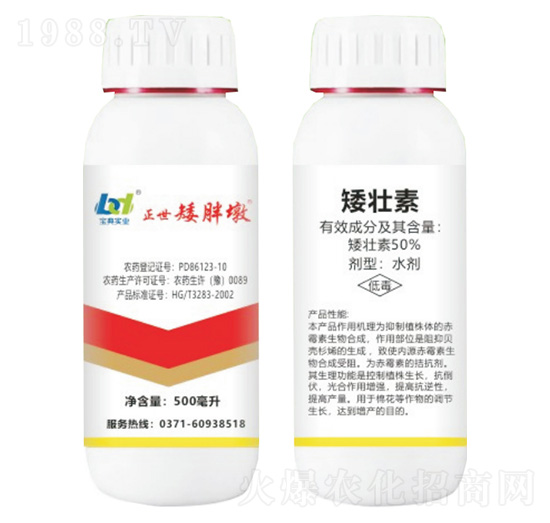 50%������-�������ֶ�-���䌍�I(y��)