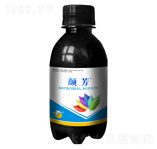 �ӝɼt�نΰ���-�-���L