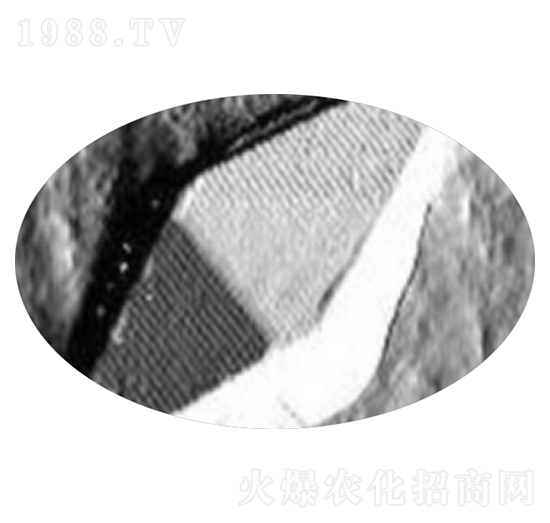 ΢����Bt���̾���-G033A-����������