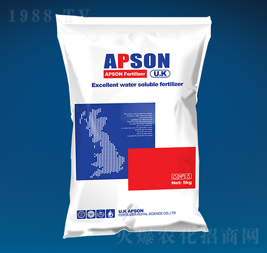 �}���o�p-����-������