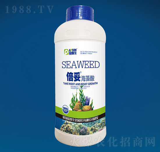 ���ס�������-������