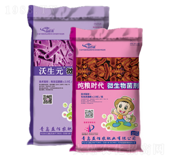 ΢�������-����Ԫ+���Z�r(sh��)��-����r(n��ng)�ʘI(y��)