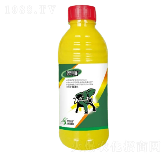 20%���ݿ�AS-���-һ�[�Ƽ�