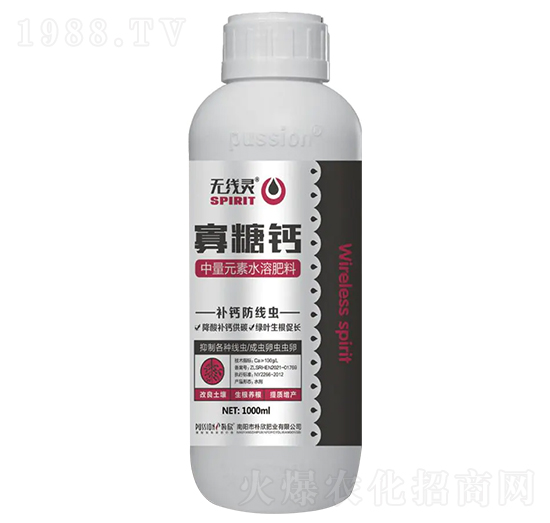 �����}-�o���`-�����ʘI(y��)