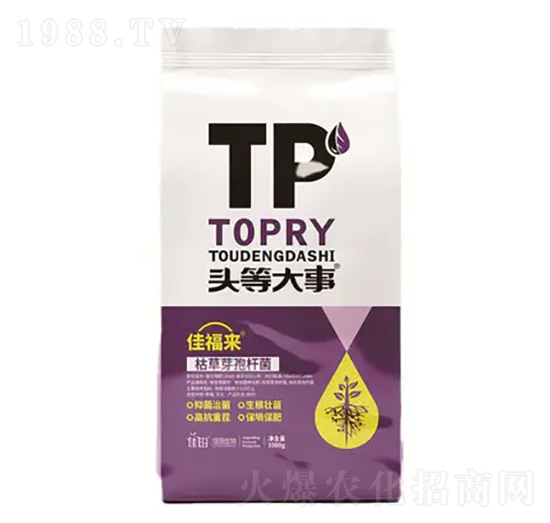 �ݲ�ѿ�ߗU��-�Ѹ���(l��i)-�^�ȴ���-��������