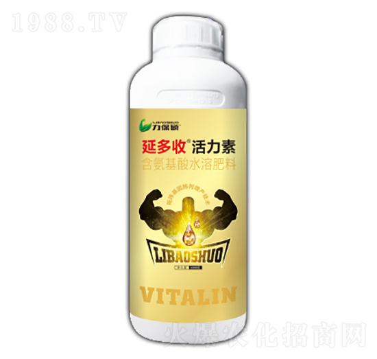 �Ӷ��ջ�����-�����T-���A�r(n��ng)�I(y��)