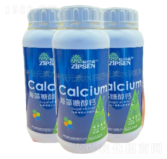 �����Ǵ��}-ֲ��ɭ