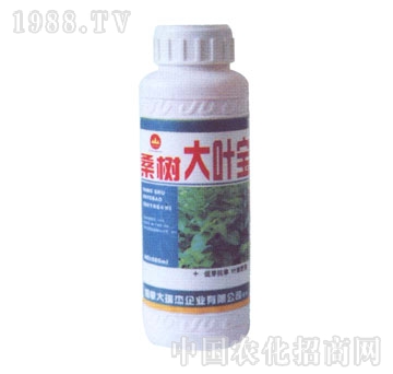 ��ɽ����-ɣ����~��