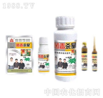 ���\-��������