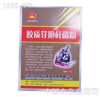 ��ɽ����-�z�|(zh��)ѿ���U��