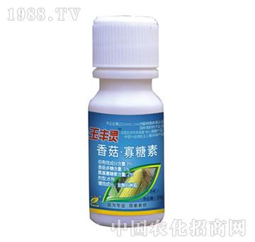 3%�㹽������-���S�`