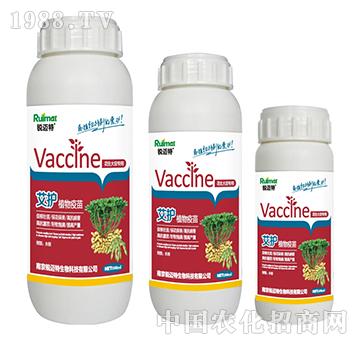 ���o(h��)ֲ�����绨���󶹌�