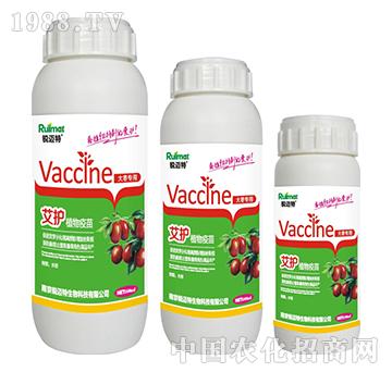 ���o(h��)ֲ������󗗌���-