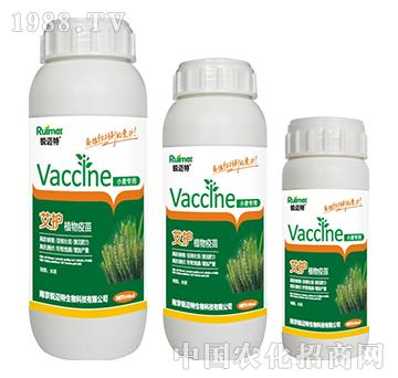 ���o(h��)ֲ������С������-