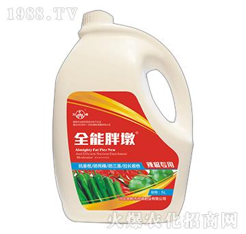 ȫ���ֶ�-��������-��