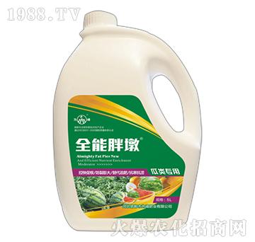 ȫ���ֶ�-�����-��