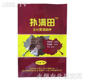 �����S�����-��M��-