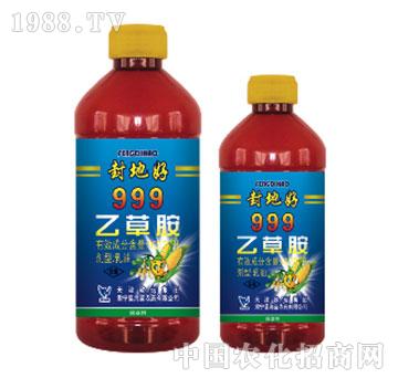 999�Ҳݰ�-��غ�-���{(l��n)