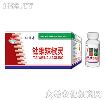 80g⁾S�����`-�挚�r��