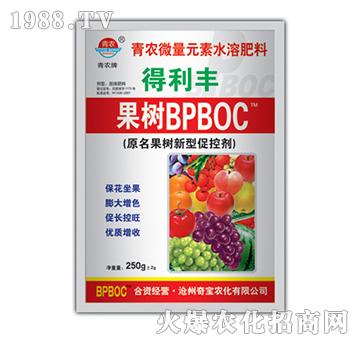 250g����(sh��)�ٿ؄�BPBOC-�挚�r(n��ng)��