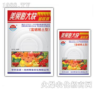 ��������-�挚�r��