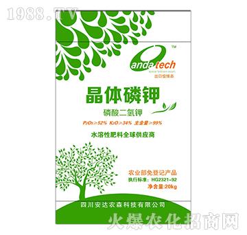 ���w���-��������-